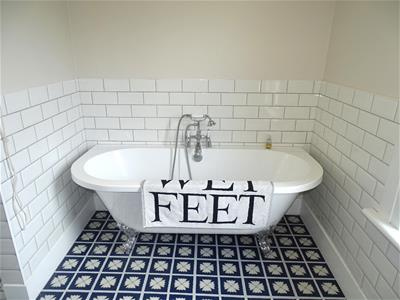 FEATURE BALL AND CLAW TUB BATH